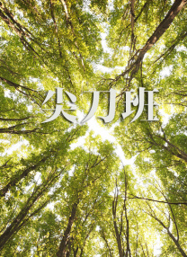 亚洲一区二区三区精品视频
